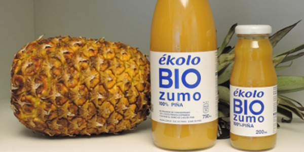 Anana-zukua, aproposa organismoa arazteko