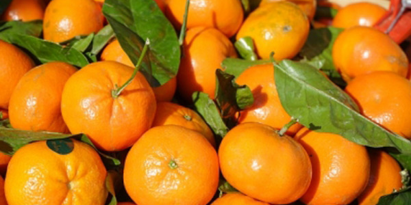 Mandarina: udazkeneko fruta